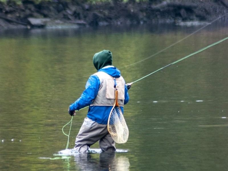Best Bait for Salmon Fishing in the River