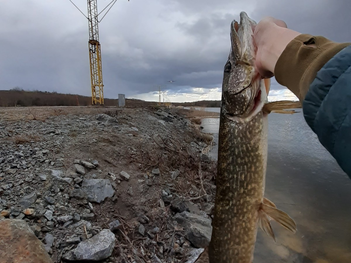 Best Way to Put New Line on a Fishing Reel