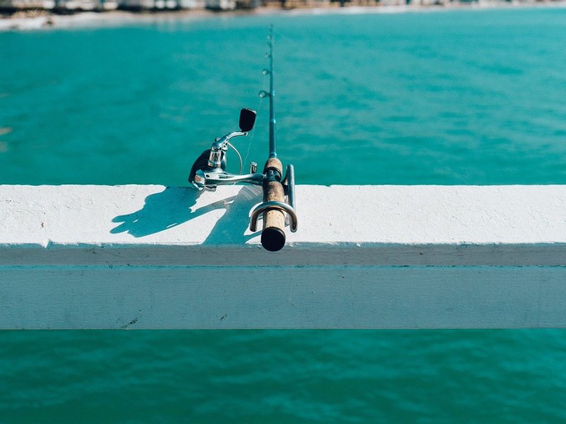 What are The Best Fishing Reels for Saltwater?